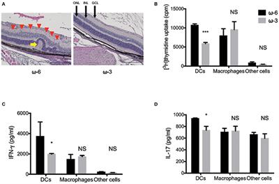 New Insights Into Immunological Therapy for Retinal Disorders